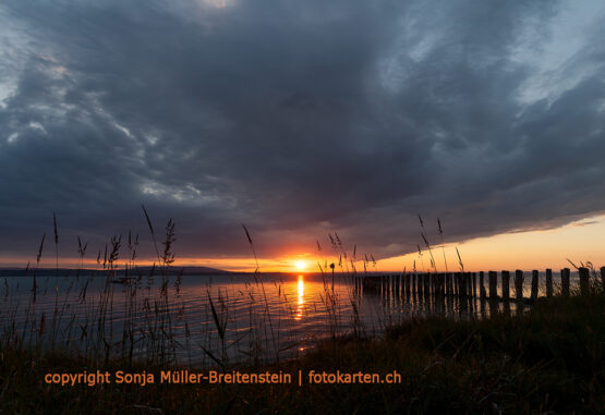 Lichtspiel-Bodensee